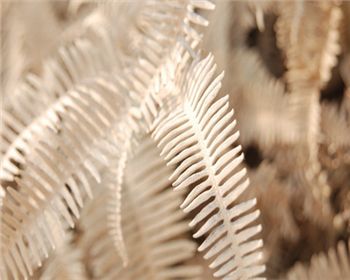 空氣改善需要靠污染源才能進(jìn)行轉(zhuǎn)移，這個(gè)真不能這樣下結(jié)論