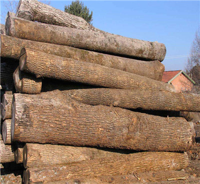 怎么樣才能打造出精致的木制托盤，以下這些是重點(diǎn)